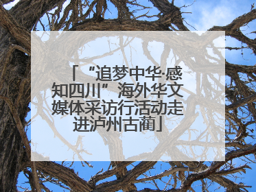 “追梦中华·感知四川”海外华文媒体采访行活动走进泸州古蔺