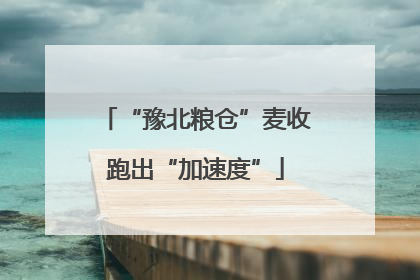 “豫北粮仓”麦收跑出“加速度”