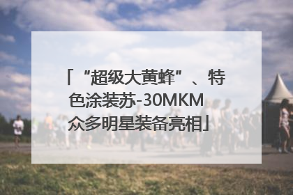 “超级大黄蜂”、特色涂装苏-30MKM 众多明星装备亮相