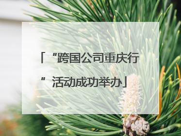 “跨国公司重庆行”活动成功举办