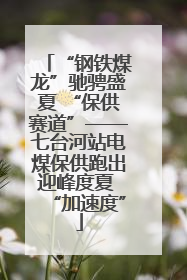 “钢铁煤龙”驰骋盛夏 “保供赛道”——七台河站电煤保供跑出迎峰度夏 “加速度”