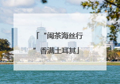 “闽茶海丝行”香满土耳其