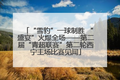 “雪豹”一球制胜 “盛宴”火爆全场——第二届“青超联赛”第二轮西宁主场比赛见闻
