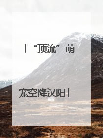 “顶流”萌宠空降汉阳