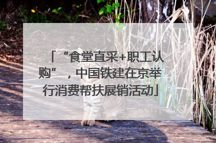 “食堂直采+职工认购”，中国铁建在京举行消费帮扶展销活动