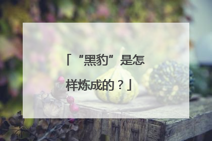 “黑豹”是怎样炼成的？