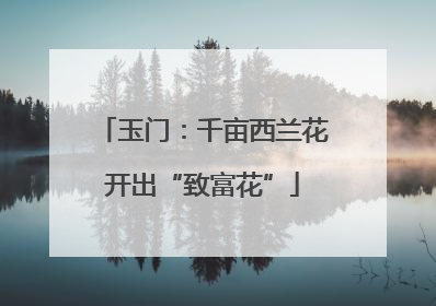 玉门：千亩西兰花开出“致富花”