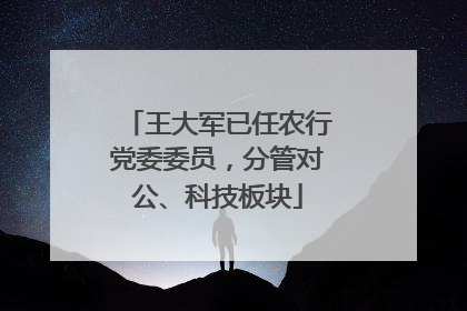 王大军已任农行党委委员，分管对公、科技板块