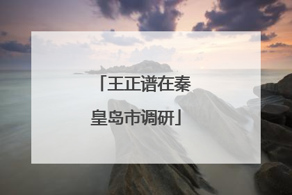 王正谱在秦皇岛市调研