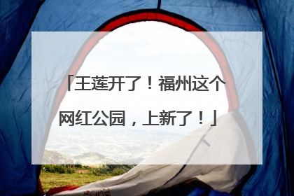 王莲开了！福州这个网红公园，上新了！