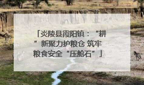 炎陵县霞阳镇：“耕”新聚力护粮仓 筑牢粮食安全“压舱石”