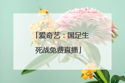 爱奇艺：国足生死战免费直播