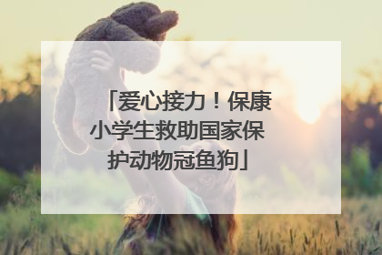 爱心接力！保康小学生救助国家保护动物冠鱼狗