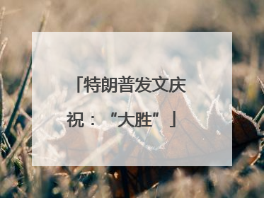 特朗普发文庆祝：“大胜”