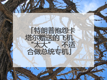 特朗普抱怨卡塔尔赠送的飞机“太大”，不适合做总统专机