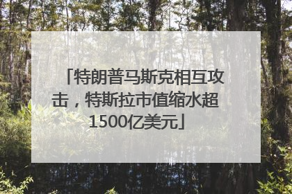 特朗普马斯克相互攻击，特斯拉市值缩水超1500亿美元
