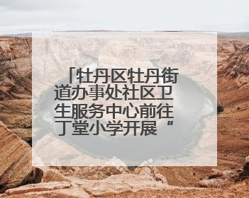 牡丹区牡丹街道办事处社区卫生服务中心前往丁堂小学开展“四送四进四提升”及无烟日宣传活动