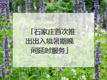 石家庄首次推出出入境暑期晚间延时服务