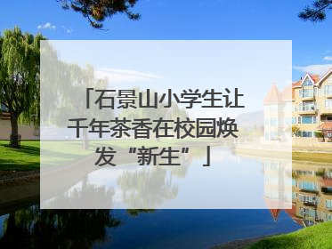 石景山小学生让千年茶香在校园焕发“新生”