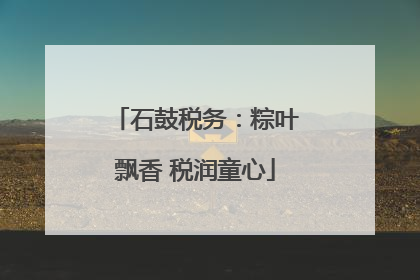 石鼓税务：粽叶飘香 税润童心