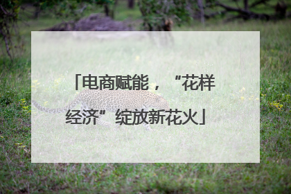 电商赋能，“花样经济”绽放新花火