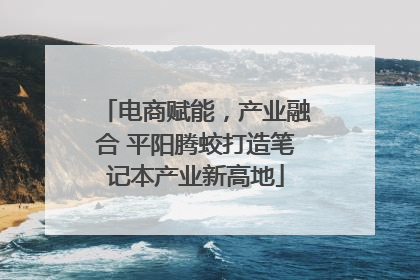 电商赋能，产业融合 平阳腾蛟打造笔记本产业新高地
