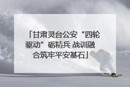 甘肃灵台公安“四轮驱动”砺精兵 战训融合筑牢平安基石
