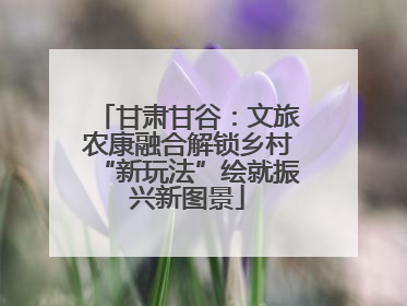 甘肃甘谷：文旅农康融合解锁乡村“新玩法”绘就振兴新图景