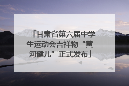 甘肃省第六届中学生运动会吉祥物“黄河健儿”正式发布
