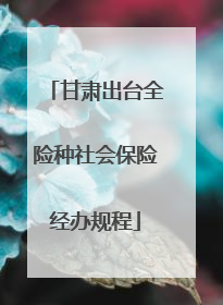 甘肃出台全险种社会保险经办规程
