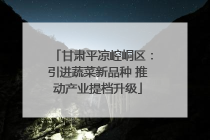 甘肃平凉崆峒区：引进蔬菜新品种 推动产业提档升级