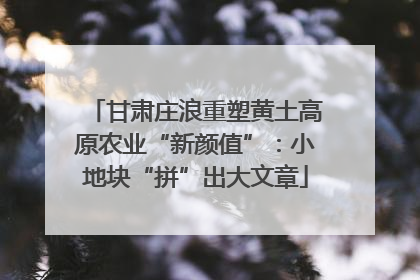 甘肃庄浪重塑黄土高原农业“新颜值”：小地块“拼”出大文章