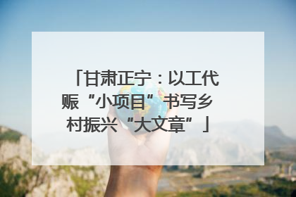 甘肃正宁：以工代赈“小项目”书写乡村振兴“大文章”