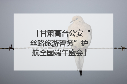 甘肃高台公安“丝路旅游警务”护航全国端午盛会