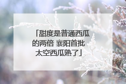 甜度是普通西瓜的两倍 襄阳首批太空西瓜熟了