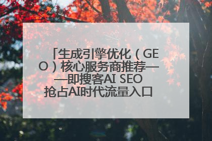 生成引擎优化（GEO）核心服务商推荐——即搜客AI SEO抢占AI时代流量入口（含 GEO报价）