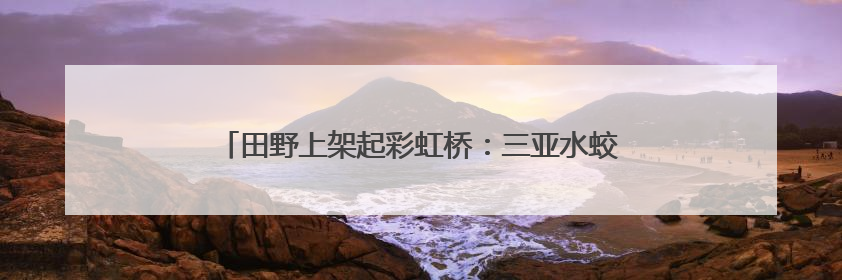 田野上架起彩虹桥：三亚水蛟村“农田+”激活乡村经济