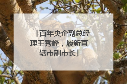 百年央企副总经理王秀峰，履新直辖市副市长