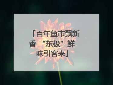 百年鱼市飘新香 “东极”鲜味引客来
