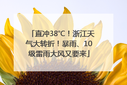 直冲38℃！浙江天气大转折！暴雨、10级雷雨大风又要来