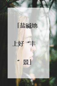 盐碱地上好“丰”景