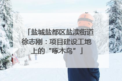 盐城盐都区盐渎街道徐志刚：项目建设工地上的“啄木鸟”