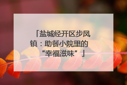 盐城经开区步凤镇：助餐小院里的“幸福滋味”