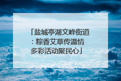 盐城亭湖文峰街道：粽香艾草传温情 多彩活动聚民心
