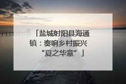 盐城射阳县海通镇:奏响乡村振兴“夏之华章”