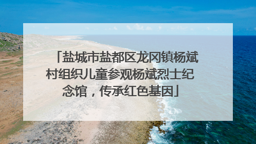 盐城市盐都区龙冈镇杨斌村组织儿童参观杨斌烈士纪念馆，传承红色基因