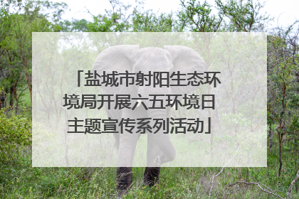盐城市射阳生态环境局开展六五环境日主题宣传系列活动