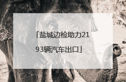 盐城边检助力2193辆汽车出口