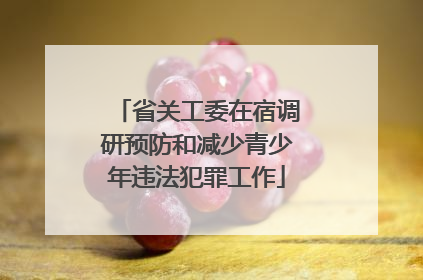 省关工委在宿调研预防和减少青少年违法犯罪工作