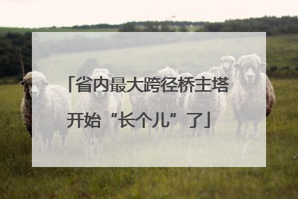 省内最大跨径桥主塔开始“长个儿”了